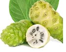 Sacred morinda root